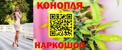 круглые Вязьма